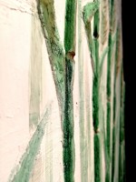 /album/galleria-fotografica/5a7eb035-a6b5-48e0-82e5-3adaa86c9a18-jpeg/